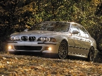 BMW 5, BMW Seria M, E39
