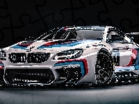 BMW M6 GT3, Rajdowy, 2016