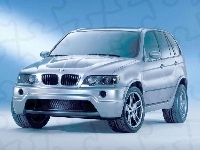 Srebrny, Bmw X5