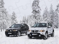 BMW E53 vs E70