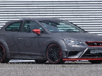 Seat Leon Cupra, Bok