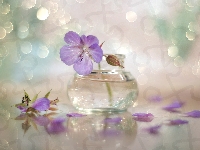 Bokeh, Wazonik, Bodziszek