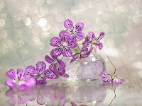 Fractalius, Bodziszek, Grafika, Bokeh