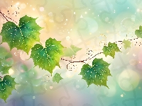 Grafika, Bluszcz, Liście, Bokeh