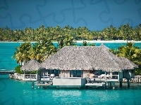 Palmy, Bora Bora, St.Regis, Hotel, Ocean