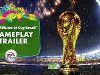 Brazil 2014, Fifa