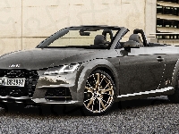 Audi TT Roadster Bronze