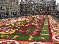 Bruksela, Wystawa kwiatów, 2008 rok