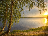 Zachód słońca, Jezioro, Brzozy