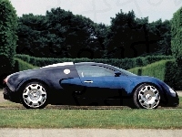 Bugatti Veyron, Prawy Profil