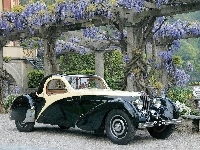 Bugatti 57 Atalante Roll Back