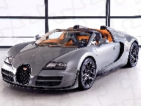 Srebrne, Bugatti Veyron