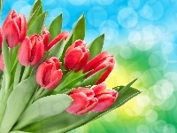 Czerwone, Bukiet, Tulipany