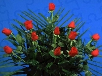Czerwonych, Bukiet, Róż