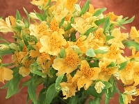 Żółtych, Bukiet, Kwiatów