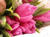Różowych, Bukiet, Tulipanów