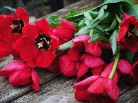 Bukiet, Tulipanów