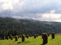 Bukowina Tatrzańska