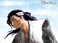 Kapitan, Byakuya, Bleach