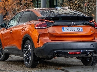 Tył, 2020, Citroen C4