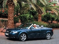 Cabrio, Audi A4, Palmy