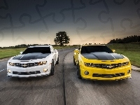 Camaro, Drzewa, 2013, Droga, Chevrolety, 1LE