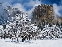 Park Narodowy Yosemite, Stany Zjednoczone, Stan Kalifornia, Szczyt El Capitan