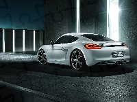 Porsche Cayman 981 TechArt, 2013