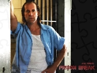 stoi, cela, Prison Break, Peter Stormare, koszula