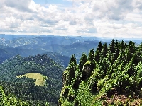 Lasy, Celahlau, Masyw, Wschodnie, Karpaty