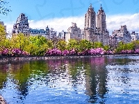 Central Park, Nowy Jork