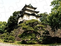 Cesarski, Drzewa, Tokio, Pałac, Fortyfikacje
