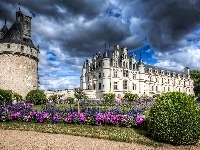 Kwiaty, Château de Chenonceau, Zamek, Chmury