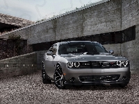 Challenger, Dodge, Szary