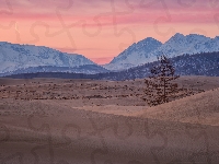 Chara Sands, Góry, Drzewo, Rosja, Piaski, Pustynia, Kraj Zabajkalski