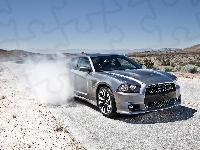 Charger, Dodge, Srebrny