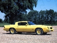 Chevrolet Camaro, Żółty, Z28