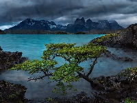 Drzewa, Góry, Cordillera Paine, Patagonia, Lake Pehoe, Chmury, Park Narodowy Torres del Paine, Kamienie, Andy, Jezioro, Chile