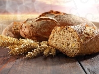 Kłosy, Chleb, Zboże