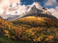 Chmury, Lasy, Jesień, Patagonia, Góry, Torres del Paine, Argentyna, Masyw