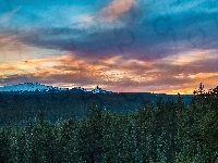 Góry, Chmury, Las