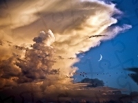 Księżyc, Chmury, Ptaki
