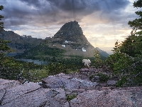 Skały, Stany Zjednoczone, Las, Drzewa, Hidden Lake, Park Narodowy Glacier, Góry, Kozioł śnieżny, Stan Montana, Jezioro, Chmury