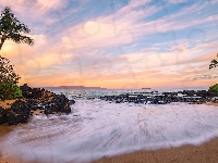 Palmy, Hawaje, Plaża, Skały, Morze, Wyspa Maui, Chmury