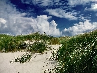 Plaża, Chmury, Wydmy
