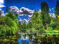 Chmury, Park, Staw, HDR