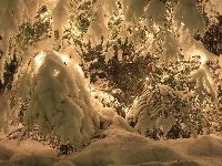 Śnieg, Choinka, Światełka