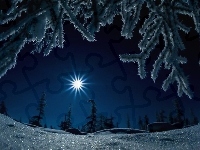 Śnieg, Gwiazda, Choinki, Zima