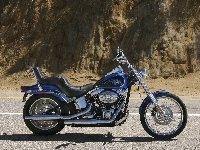 Chopper, Harley Davidson Softail Custom 
