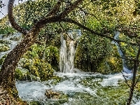 Wodospad, Chorwacja, Park Narodowy Jezior Plitvickich, Drzewa
